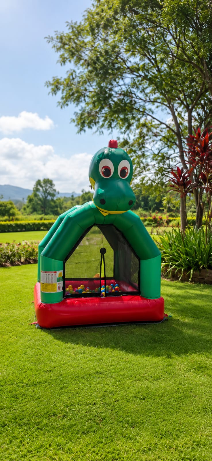 Piscina de Bolinhas Soft Dino